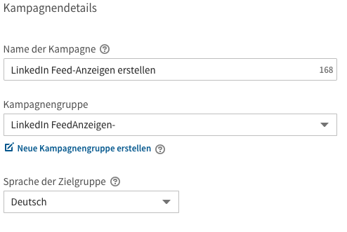 LinkedIn Kampagnendetails